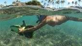 Must Do Snorkeling Adventure