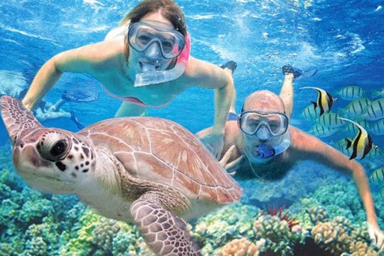 Kauai's Ultimate Guided Shore (NO BOAT) Snorkeling Adventure