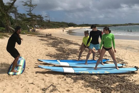 Private Group Surf Lesson