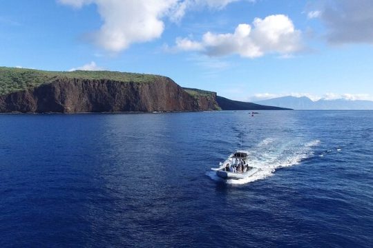 Semi-Private 4 Hour Eco-Raft Maui Snorkel Tour & Lanai Dolphins