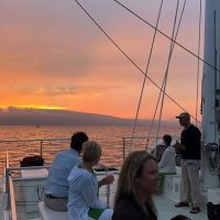 Holiday & Seasonal Tours