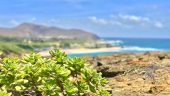 First Time in Hawaii