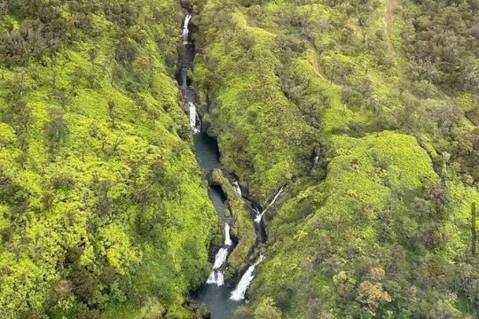 Hana Rainforest and Haleakala Crater 45-Minute Helicopter Tour