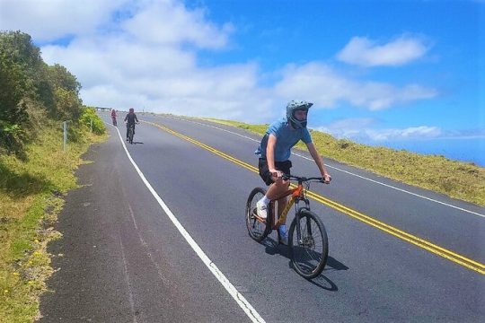 Haleakala Morning Best Guided Bike Tour with Bike Maui
