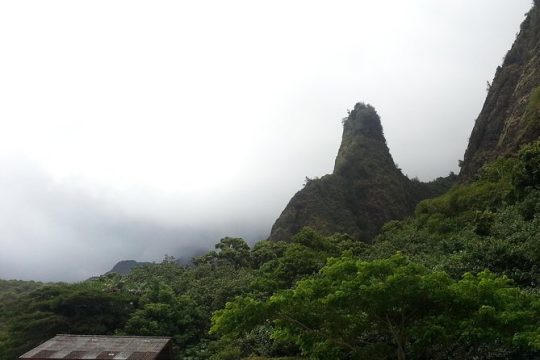 Valentine's Day in Lanai