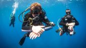 Best dive ever
