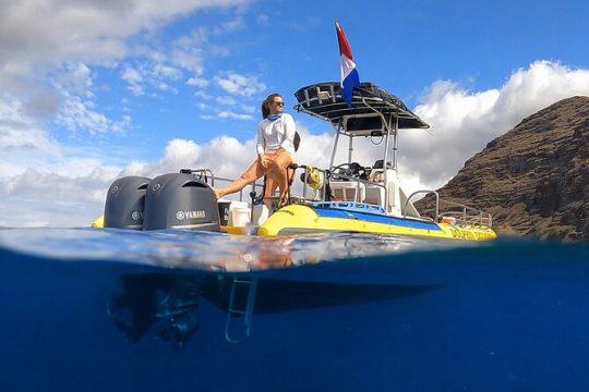 Wild Dolphin Watching and Snorkel Safari off West Coast of Oahu