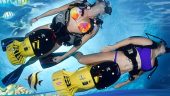 Supercharged Underwater: Dolphins to Turtles