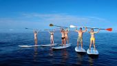 Great Paddleboard Experience for Beginners!