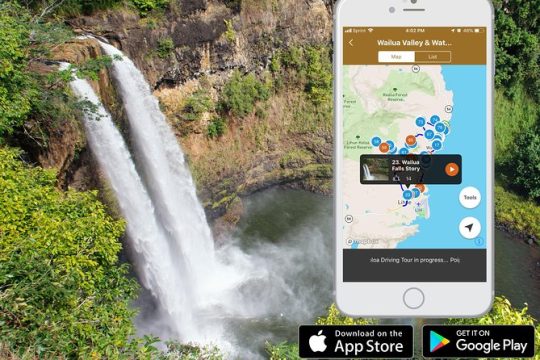 Wailua Valley & Waterfalls Audio Driving Tour
