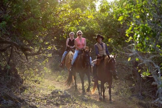 Oahu Sunset Horseback Ride