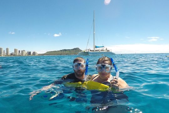 Snorkel & swim with turtles! Minutes from Waikiki