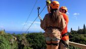 Great adventure in the jungle!