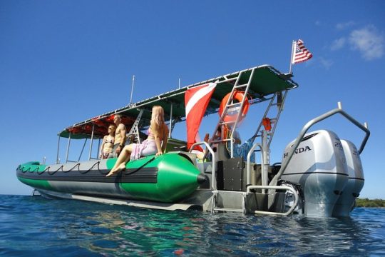 West Maui Snorkeling Experience by Boat from Ka'anapali