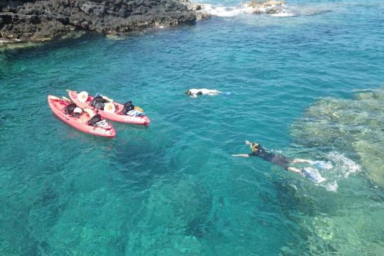 4-hour Kailua-Kona Ocean Kayak and Snorkel Tour