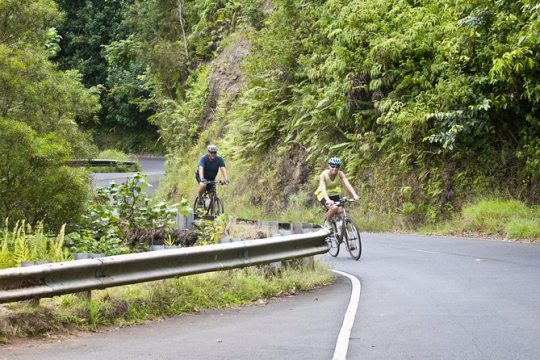 Honolulu Downhill Bike and Waterfall Hike Tour