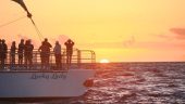 Best sunset cruise ever!!!