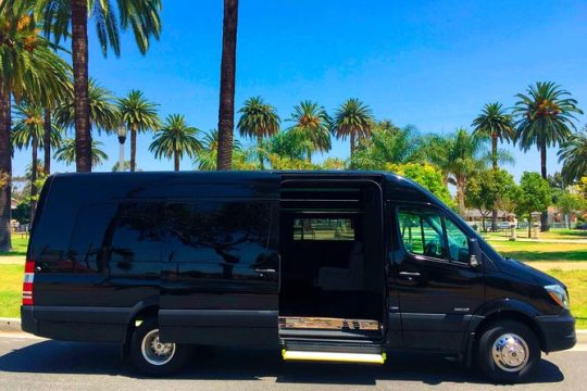 Private Road to Hana or any Maui destination in Luxury Mercedes Sprinter