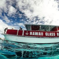 Glass Bottom Boat Tours