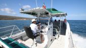 Best Private Snorkel Charter in Maui!!