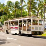 aloha circle island tour reviews