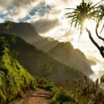Kauai Tours