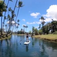 Holiday & Seasonal Tours