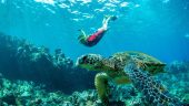 Snorkeling on our honeymoon