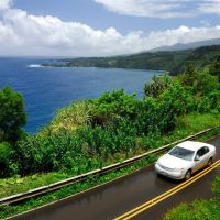Private Sightseeing Tours
