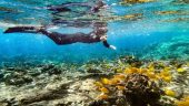 Definitely a must do on Hawaii Island!