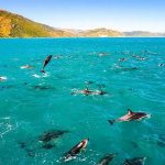 Adventure Tours