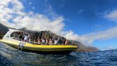 We would recommend them to anyone visiting. The super raft was fast and comfortable for the entire trip.