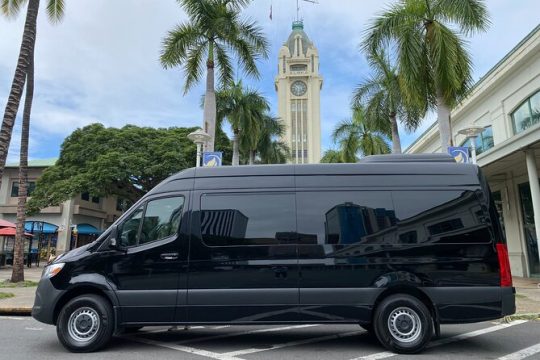 Honolulu Airport & Waikiki Hotels Private Transfer by Mercedes Van(up to 14ppl)