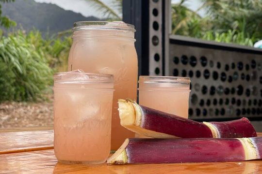 Taste of Hawaii: A Maui Farm Tour
