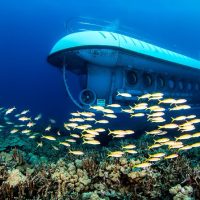 Submarine Tours