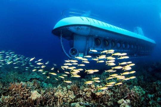 Atlantis Submarine Kona - Hawaii Island