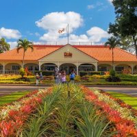 Shopping Tours