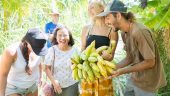 Up and coming regenerative farming