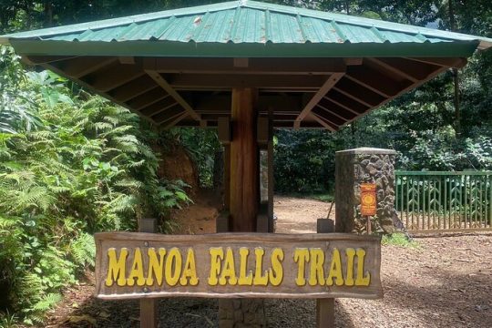 Mānoa Falls Trail Hiking Shuttle