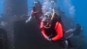 Fabulous scuba tours fro Waikiki