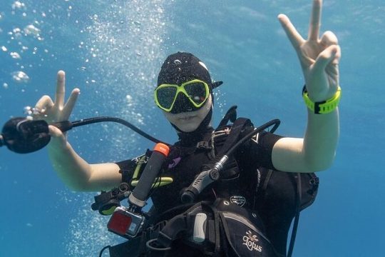 Mesmerizing Private SCUBA Diving Charter in Paradise from Waikiki