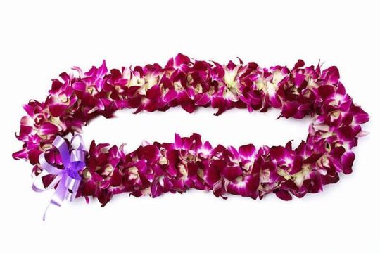 Deluxe Orchid Lei Greeting (Maui, Kahului Airport, OGG)