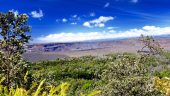 Hilo experience