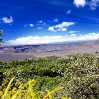 Walking Tours