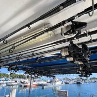 Fishing Charters & Tours