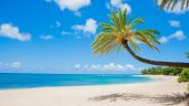 Kona- Customized and Hospitable