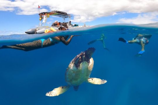 Semi-Private 2.5 Hour Eco-Raft Maui Snorkel with Turtles Tour