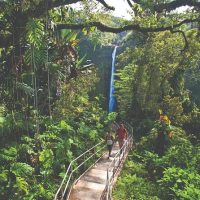Day Trips & Excursions