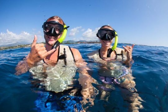 Kauai's Ultimate Guided Snorkeling Adventure No Boat Ride