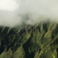 Adrenaline & Extreme